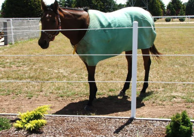 Bayco fence