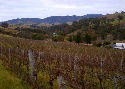 IMG-20120706-00003