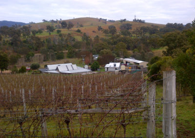IMG-20120706-00004