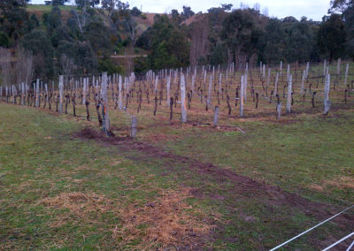 IMG-20120706-00006