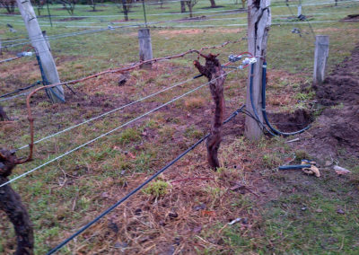 IMG-20120706-00009