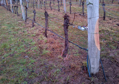 IMG-20120706-00011